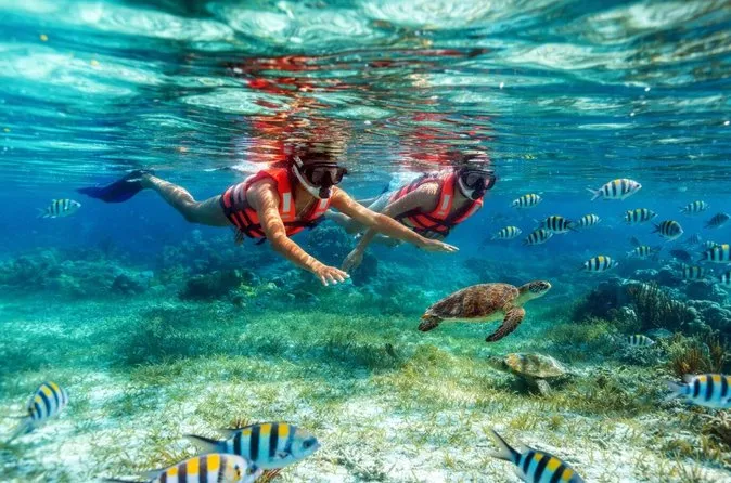 Snorkeler exploring the coral garden inside Puerto Morelos National Park on a Cancun snorkeling tour, crystal-clear Caribbean water