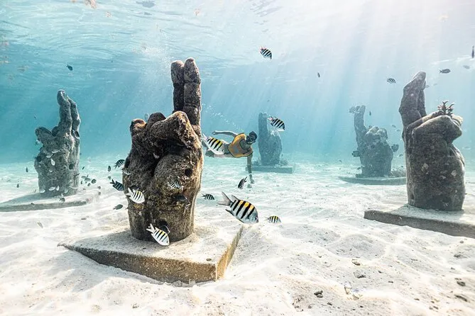 Group snorkeling around MUSA underwater museum statues in Cancun, surrounded by tropical fish and coral on a 5-in-1 Cancun snorkeling tour