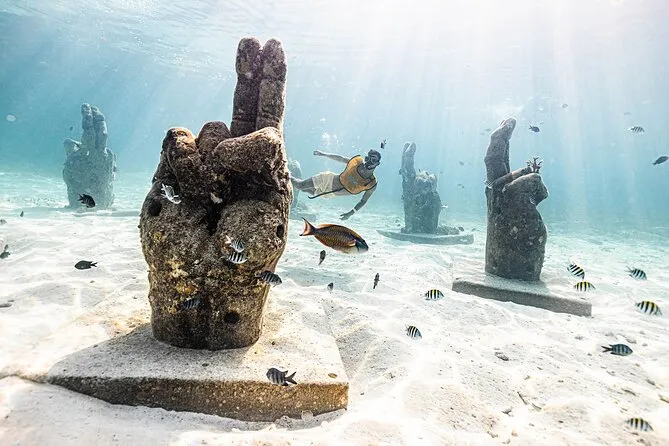 Snorkeler swimming alongside a green sea turtle near Cancun on a reef and shipwreck snorkeling tour in the Caribbean