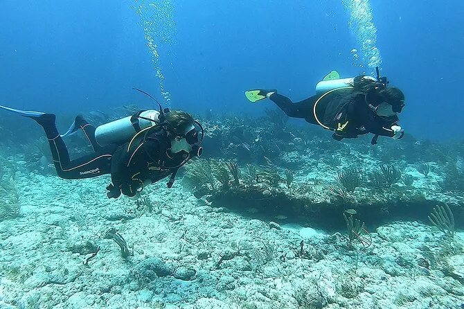 Certified diver exploring the Mesoamerican Barrier Reef at Puerto Morelos near Cancun on a 2-tank reef dive tour